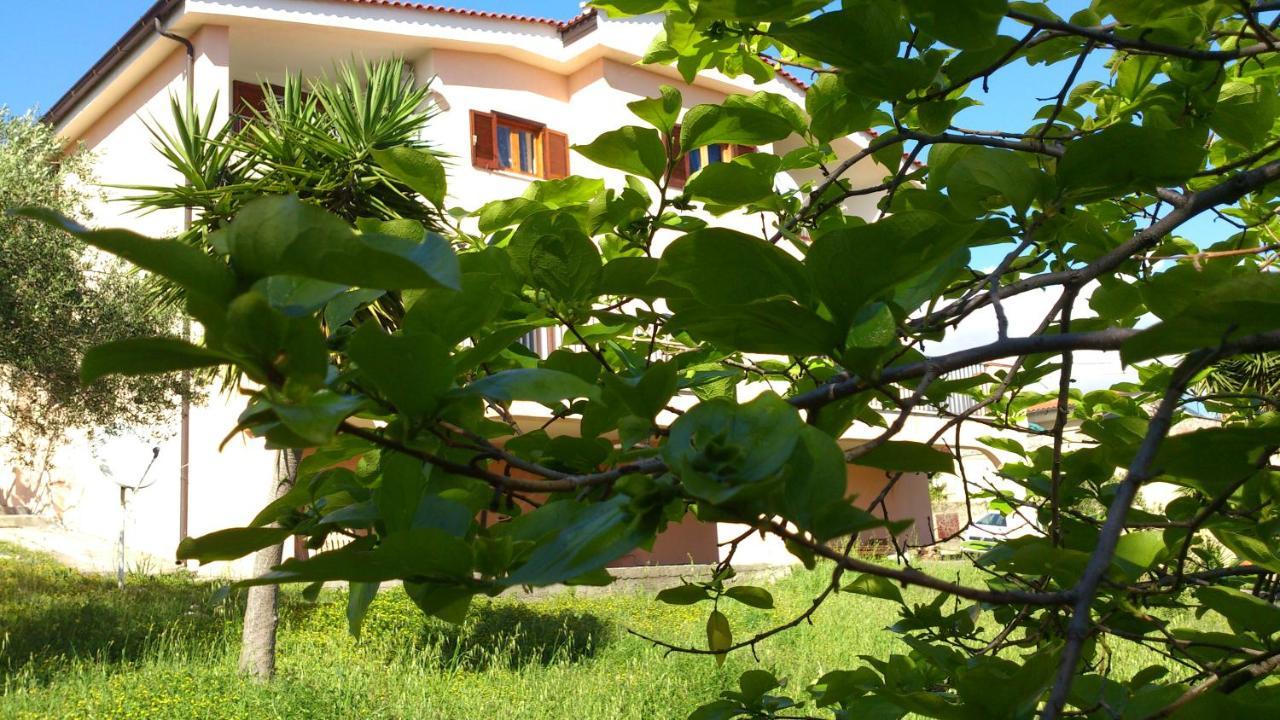 Bed and Breakfast Borgo Marinaro Marina di Camerota Exteriér fotografie